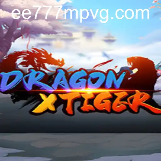 DragonXTiger